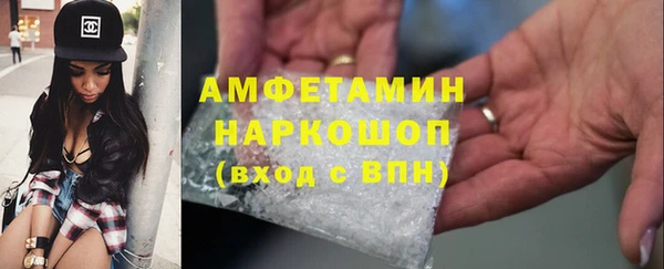 гидра Белокуриха