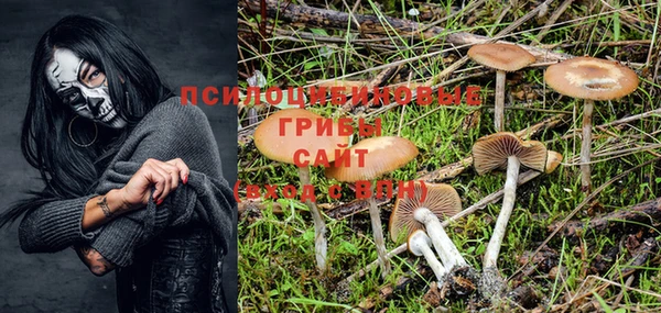 a pvp Белоозёрский