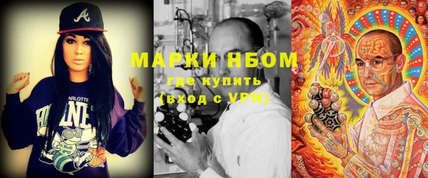 гидра Белокуриха