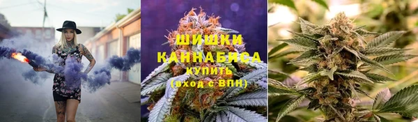 гидра Белокуриха