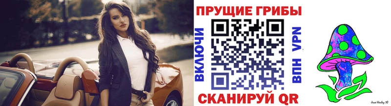 Псилоцибиновые грибы Cubensis  кракен tor  Харабали 